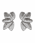 Orecchino Olimpia Silver