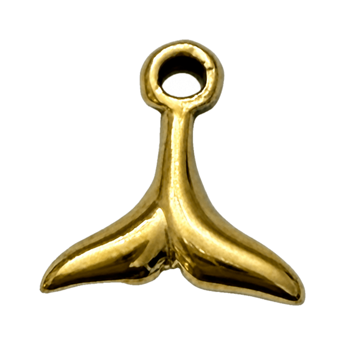 Coda Balena
