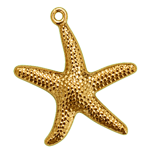 Charm Stella marina media Le Amikette scontornato